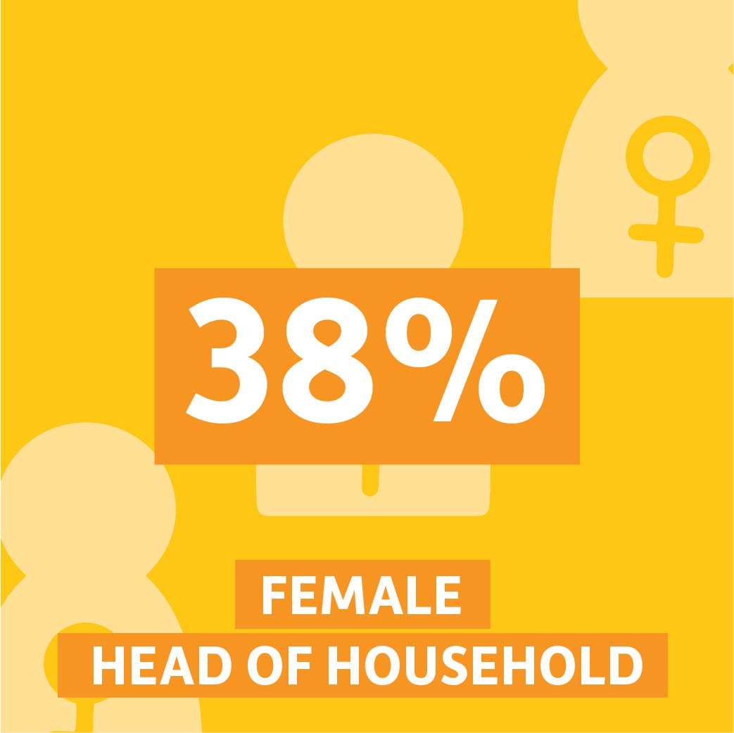 38% were female head of households